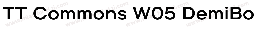 TT Commons W05 DemiBold Regular下载字体转换